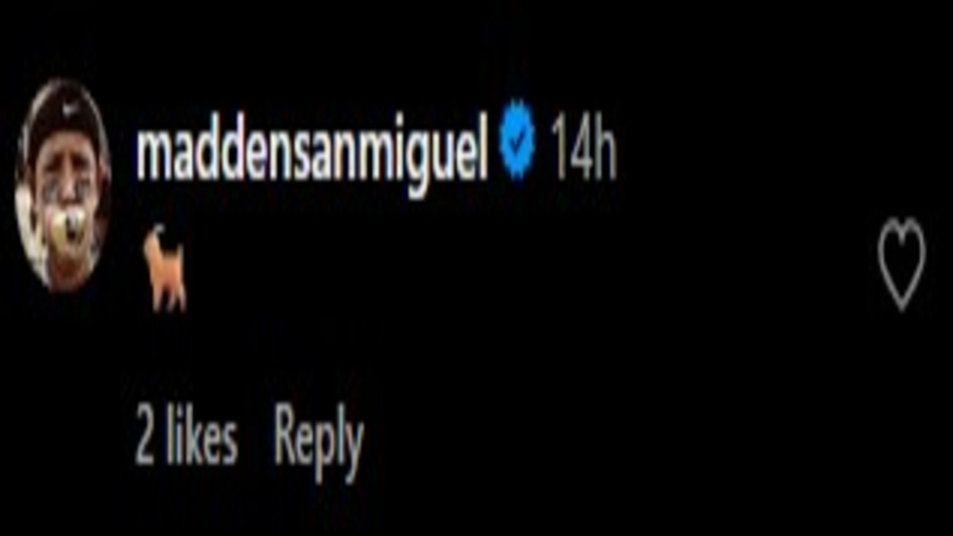 Image via the comments of Eli Ellis' Instagram post.